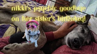 My dogs birthday triggers her sisters telepathic goodbye message Psychic dog message comes true [upl. by Luhar]