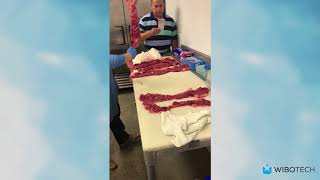 Grasselli KSL Horizontal Slicer Demo Part 2 Slice Machine for Meat [upl. by Xenophon843]