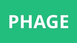 How To Pronounce Phage  Pronunciation Academy [upl. by Hsina]