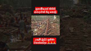 සුනාමියෙන් විනාශ නොවූ බුද්ධ ප්‍රතිමා වහන්සේලා 🙏🙏 buddha buddha sunami srilanka sinhala shots [upl. by Ahsitra]