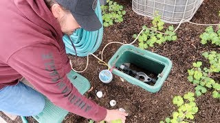 Setting Up Our Window Boxes on Drip Irrigation 💦🌿 Garden Answer [upl. by Hnahc]