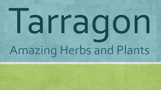 Amazing Benefits Tarragon Herbs  Health benefits of Tarragon herb  Tarragon nutrition facts [upl. by Hsaniva]