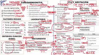 Obstetricia  1 RM19 2V DÍA 2 OBSTETRICIA INFECCIONES EN OBSTETRICIA de Qx Medic on Vimeo [upl. by Holland198]