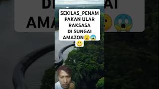 PENAMPAKAN ULAR RAKSASADI SUNGAI AMAZON [upl. by Krystal216]