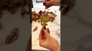 DIY leaf confetti 🍁 sustainablewedding diyconfetti diywedding sustainability [upl. by Amaj]