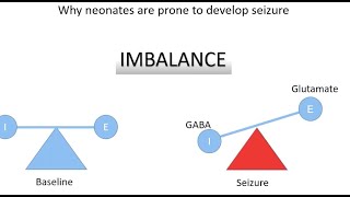 Neonatal Seizures Part 1 Dr Kumar Ankur [upl. by Jose]