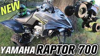 2019 Yamaha Raptor 700 ATV  Best Trail Riding Four Wheeler [upl. by Eilata437]