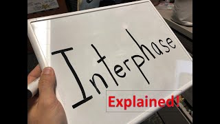 Interphase explained [upl. by Myra]