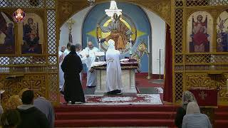 Saint Maurice Coptic Orthodox Church Live Broadcast  Channel 2 [upl. by Zelma]