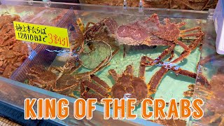 King Crabs of Northern Japan Hokkaido [upl. by Lisha]