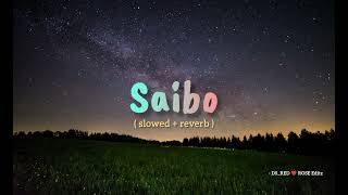 Saibo  slowed  reverb   Lofi version  DSRED ❤️ ROSE Editz [upl. by Ellevehs]