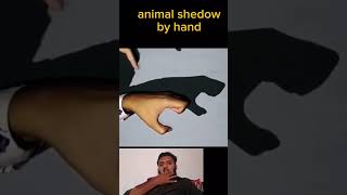 animal shedow by hand ✋  hand art telent  animalshadows [upl. by Jaela222]