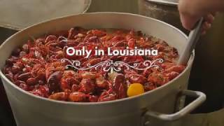 Only in Louisiana  Crawfish [upl. by Johny]