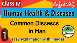 Class 12  Human Health and Diseases  01 [upl. by Burtis]