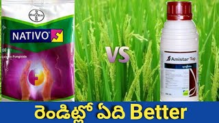 Nativo vs Amistar top ఏది మంచిది  which is best fungicide [upl. by Homovec494]