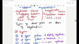 Myelin sheath in Hindi  myelination of CNS and PNS fibers  types of Nerve Fibers [upl. by Annael]