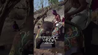 A Passage to India 1984 review movie film cinema moviereview india oscars apassagetoindia [upl. by Airakaz990]