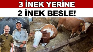 3 İnek Yerine 2 İnek Besle [upl. by Eaves83]