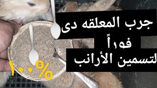 جرب تستعمل🥄 المعلقه دى في الميه لزيادة الوزن وتسمين الأرانب بسرعه من غير تكاليف عليك جربها فوراً [upl. by Ahsytal273]