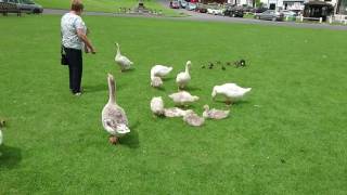 20160623 Beautiful Finchingfield Essex UK [upl. by Assyn]