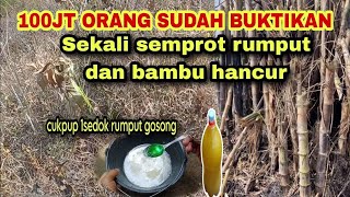 Ga perlu pake Roundup lagi  pake saja Racikan bahan ini segala rumput ludes sampe akarnya [upl. by Arimay]