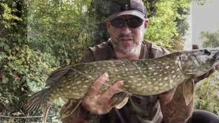 17 October 2018 Pike fishing at Patshull Park for the first time on lures [upl. by Earal]