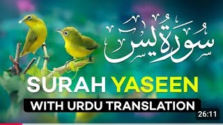 سورۃ یاسین،surah yaseen rajpura anil Hakim [upl. by Suidaht]