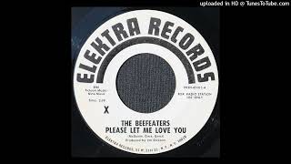 The Beefeaters  Please Let Me Love You  1964 Folk Rock  Early Byrds [upl. by Wendell]