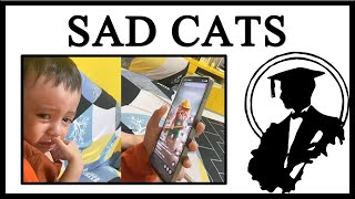 Kids Are Crying Over AI Sad Cat Videos [upl. by Wyly]