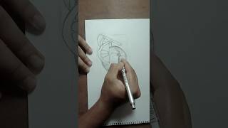 easy way Orange drawing step by step for beginners  How to draw fruits  fruits drawing tutorials [upl. by Kery]