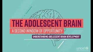 The Adolescent Brain A second window of opportunity [upl. by Croner]