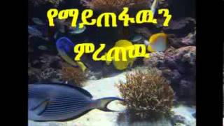 Tesfaye Gabiso  በኩርነትሕን ለምን ሸጥከዉ [upl. by Enyaw]