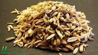 Fennel Seeds to Improve Athletic Performance [upl. by Dietz]