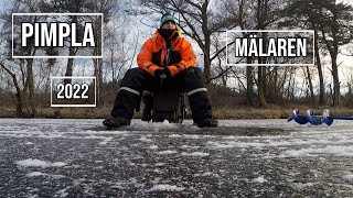 Pimpla på Mälaren [upl. by Aurelea]