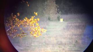 Rob LWRC REPR at 680 yards [upl. by Shuping]