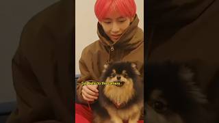 Meet Kim Yeontan 🍀  TANNIE KIM TAEHYUNG [upl. by Eduino]