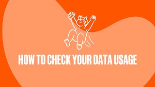 How To Check Your Data Usage  A Help Guide [upl. by Savil333]