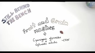 Ep 27  Fruit Mash Grain Mashes Cyanogenic glycosides Glycosidic nitriles and Ethyl carbamate [upl. by Farah]