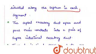 Septal nephridia of earth worm are  CLASS 12  PERIPLANETA COCKROACH  BIOLOGY  Doubtnut [upl. by Kyd]