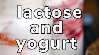 Is there LACTOSE in YOGURT [upl. by Lowell]