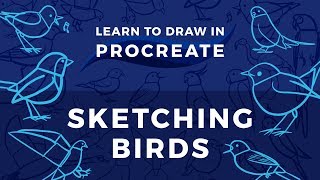 Learn to Draw in Procreate  Sketching Birds [upl. by Aia910]