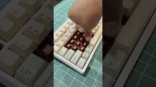 the MOST silent keyboard switches mechanicalkeyboard [upl. by Adnawak]