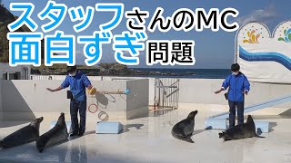 【スタッフさんも最高】おたる水族館 アザラシ ショー SUBJPENINID [upl. by Terrell367]