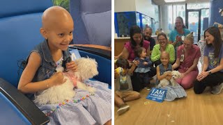 5YearOld Cancer Patient Surprised With New Puppy [upl. by Alian]