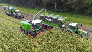 Mais Silage 2021 with The Fendt Crew  Post  Eemnes [upl. by Yanrahc]