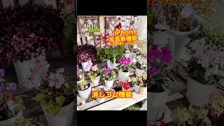 iPhone15pro以降対応写真 新機能 消しゴム機能やり方 iPhone 園芸 ガーデニング [upl. by Barrow174]