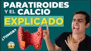 La INCREIBLE 🤯 función de la PARATHORMONA Y CLACITONINA Fisiologia Fácil [upl. by Atekihs]