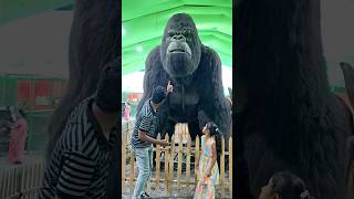 King Kong 🦍  Kha Jayega 😱 [upl. by Arretal]