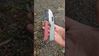 Wharncliffe Wednesday shorts youtubeshorts knives [upl. by Nyssa]