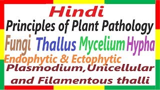 Principles of Plant Pathology  Fungi Thallus Hyphae Mycelium Plasmodium Thallus etc PPP 7 [upl. by Nassah]